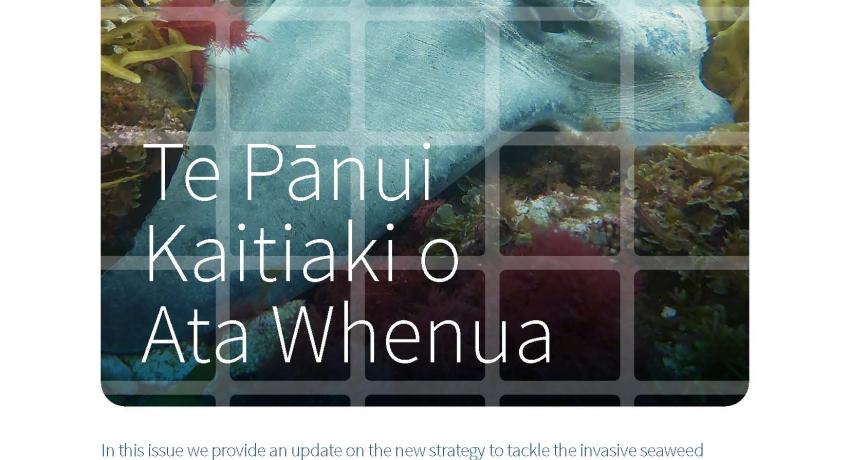 FMG Newsletter November 2025